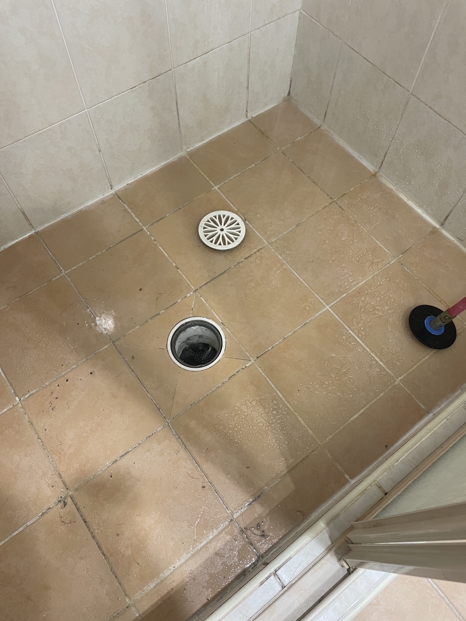 What Causes Blocked Drains? A Comprehensive Guide for Homeowners in